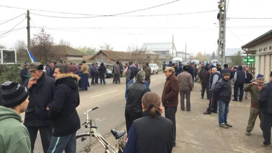 Revoltă într-un sat din Olt. Oamenii protestează împotriva deciziei de a le fi sacrificaţi porcii: 