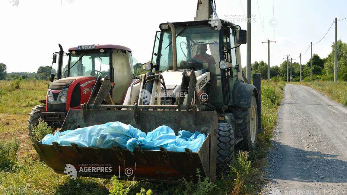 ANSVSA: Pesta Porcină Africană evoluează în 301 localităţi din 19 judeţe.  Peste 251 milioane lei, plătite ca despăgubiri