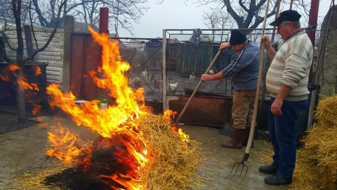 Aleşii vor o zi specială pentru promovarea gastronomiei româneşti. Deputat PNL: 