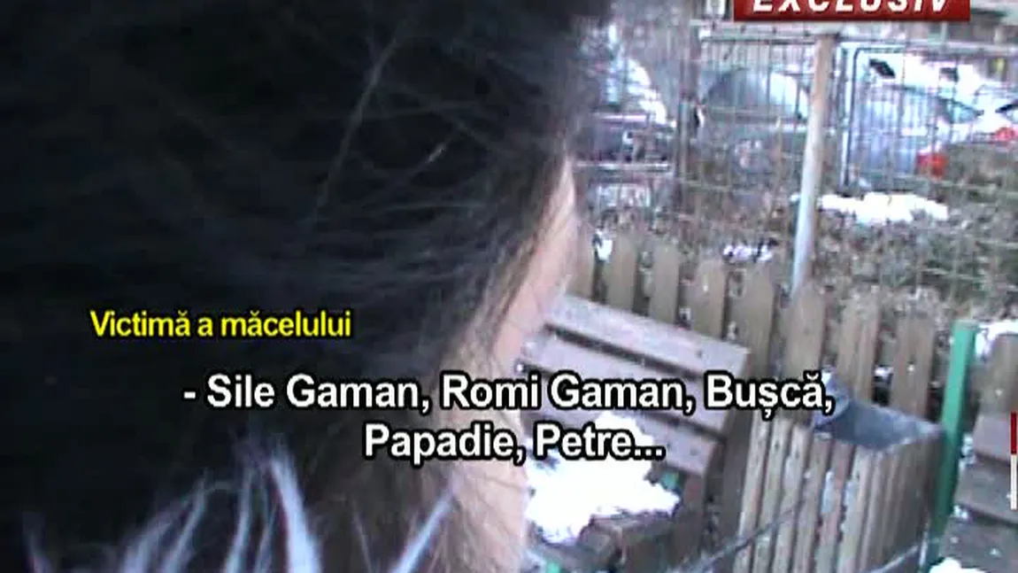 Înregistrări şocante după măcelul cu săbii de lângă Capitală