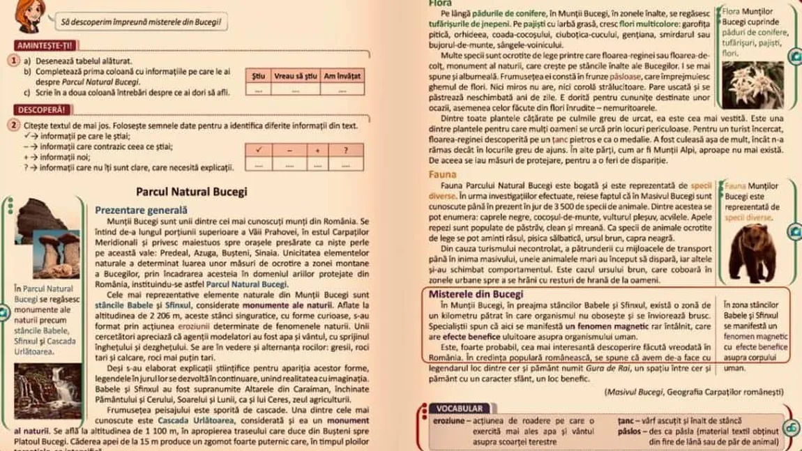 Elevii învaţă despre fenomene bizare la limba română. Ce scrie în Manualul de clasa a IV-a