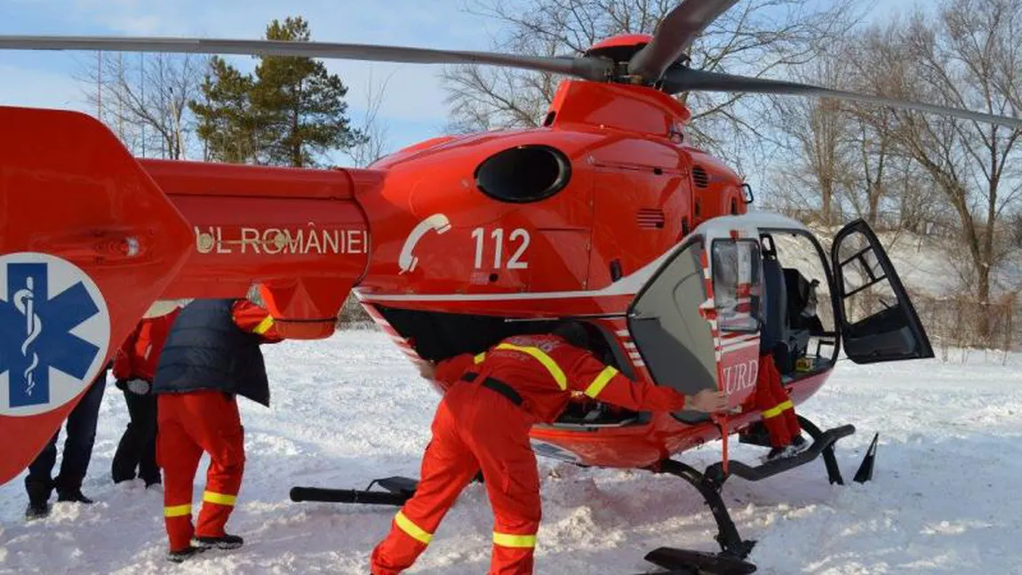 Un copil de 12 ani din Vaslui a rămas fără nas după ce a fost muşcat de nas de câinele din curte