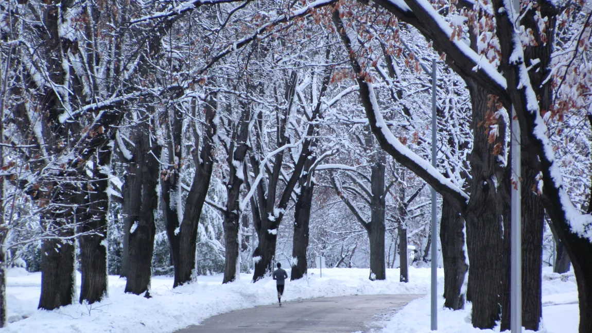 PROGNOZA METEO PE TREI ZILE. Prima săptămână din 2019 se încheie cu ger şi ninsori