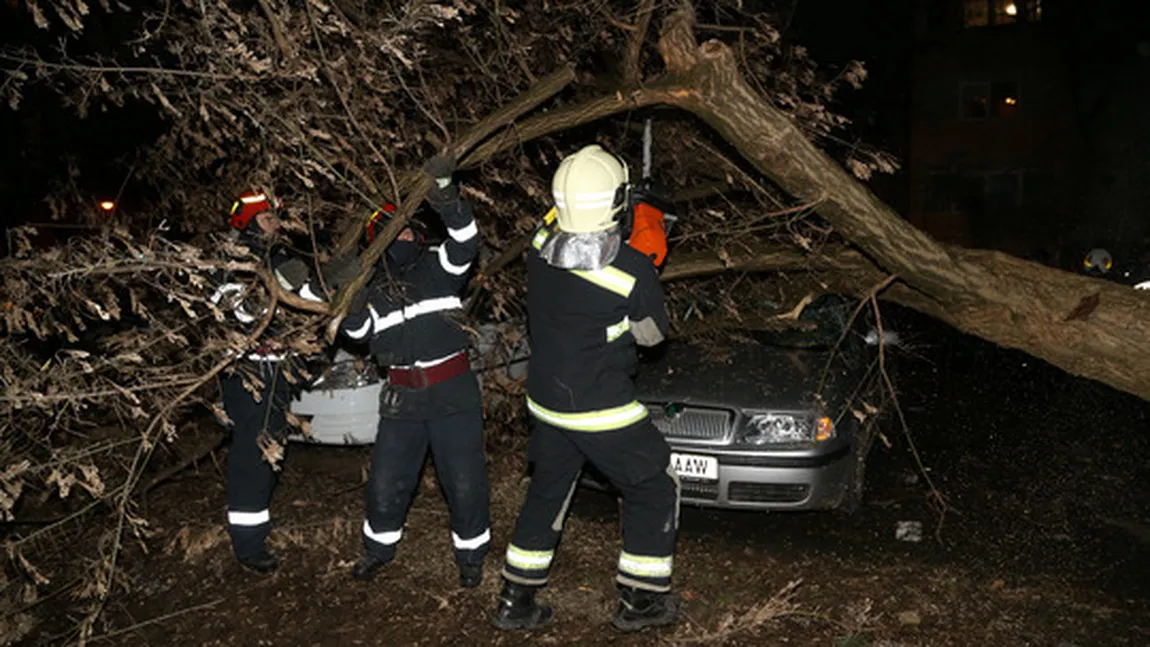 Prăpăd în Capitală din cauza vântului puternic: 34 de copaci şi 7 stâlpi au căzut, iar zeci de maşini au fost distruse FOTO