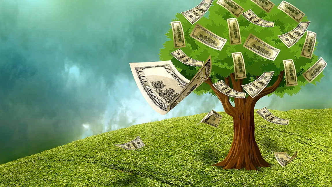 Copacul banilor 2019. Ce să ţii în casa şi unde să îl pui, în Anul Mistreţului de Pământ