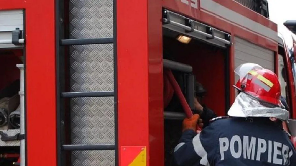 Incendiu la un adăpost de animale din localitatea Mizil: 250 de animale au murit UPDATE