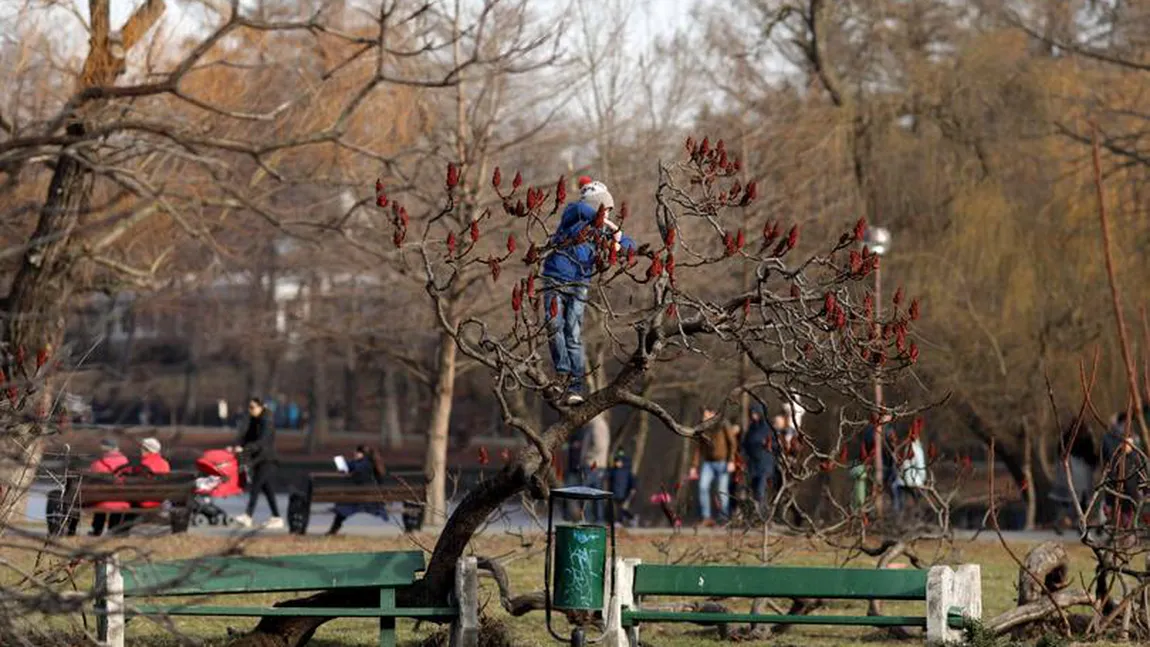 PROGNOZA METEO. Vreme frumoasă în următoarele zile