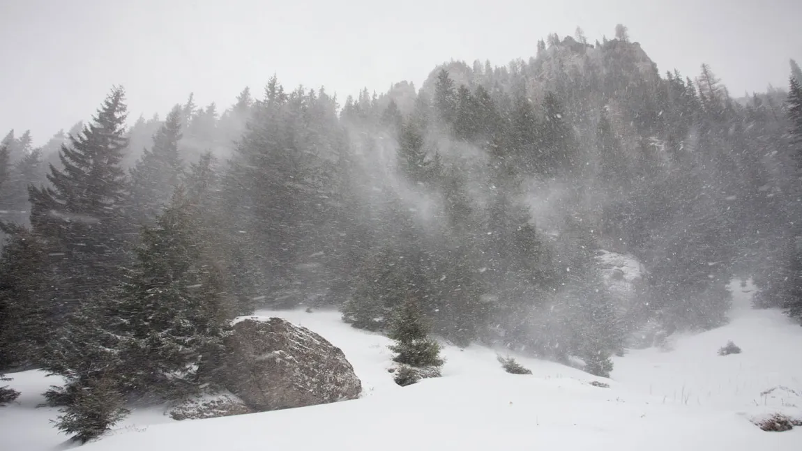 Avertizare meteo COD GALBEN. Zăpadă viscolită în zonele montane UPDATE