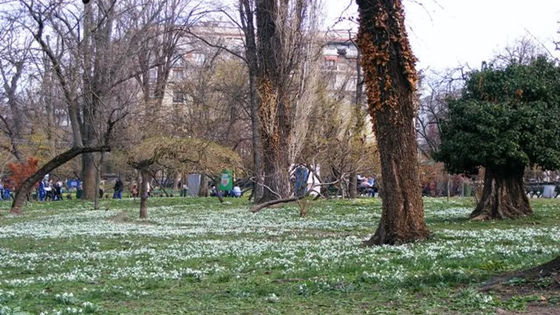 PROGNOZA METEO. Vremea rămâne rece în următoarele zile. De când va începe să se încălzească