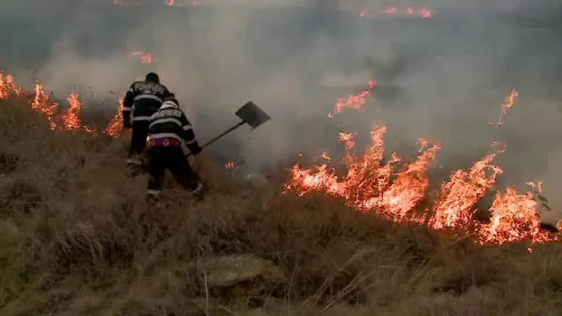 Accident în lanţ în Brăila: şase persoane au fost rănite, după ce cinci autoturisme s-au ciocnit, din cauza unui incendiu de vegetaţie