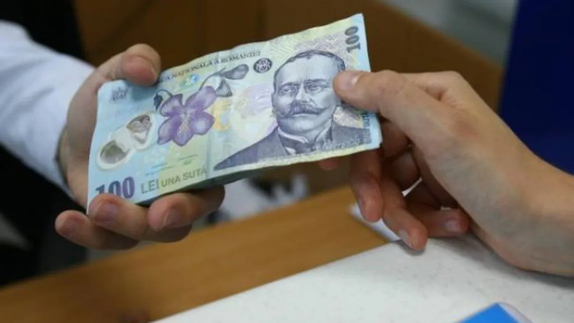Amenzi de 4000 de lei pentru românii care au aşa ceva în curte. Despre ce este vorba