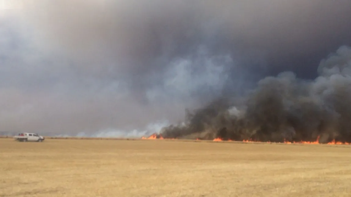 Circulaţia oprită pe A1 Bucureşti-Piteşti din cauza unui incendiu de vegetaţie