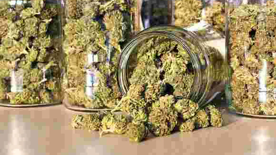 Trei persoane arestate preventiv după ce au fost prinse în flagrant când vindeau un kilogram de marijuana