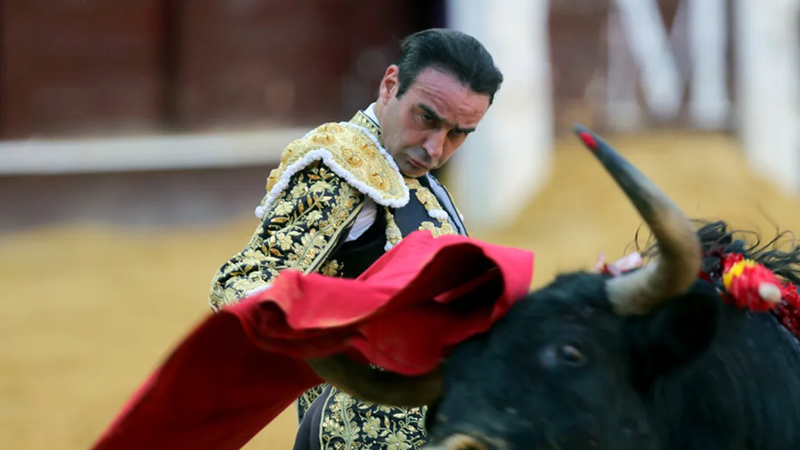 Toreadorul spaniol Enrique Ponce, rănit grav într-o corrida la Valencia. Imagini teribile cu momentul când e luat în coarne VIDEO