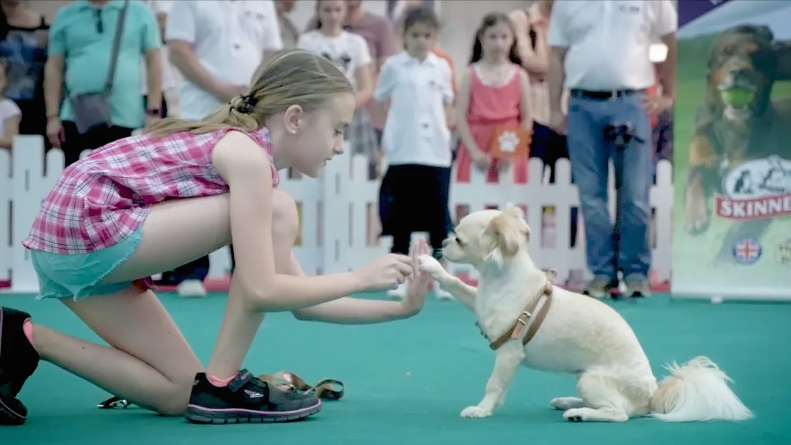 Cel mai frumos loc de pe Pamant pentru animalute. PetExpo 2019 are loc intre 12 si 14 Aprilie, la Romexpo