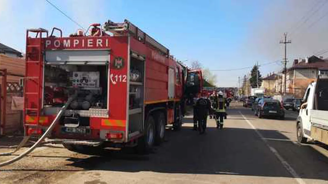 Incendiu puternic la o hală de materiale de construcţii, în Baloteşti