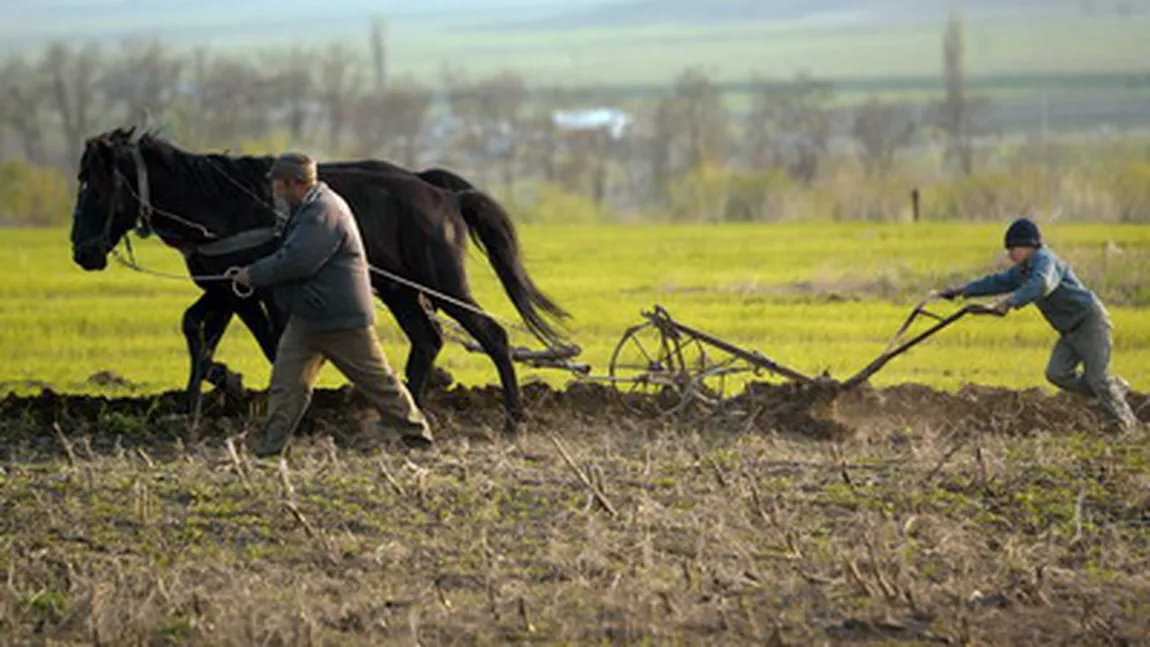 Bani pentru produsele agricole româneşti. Cum poţi obţine ajutorul financiar de la stat