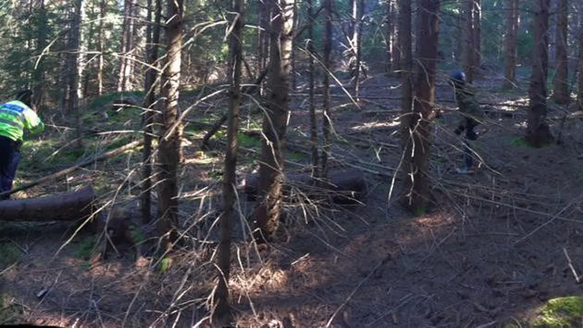 O femeie şi copilul ei de 3 ani, daţi dispăruţi după o plimbare în pădure. UPDATE: Au fost găsiţi