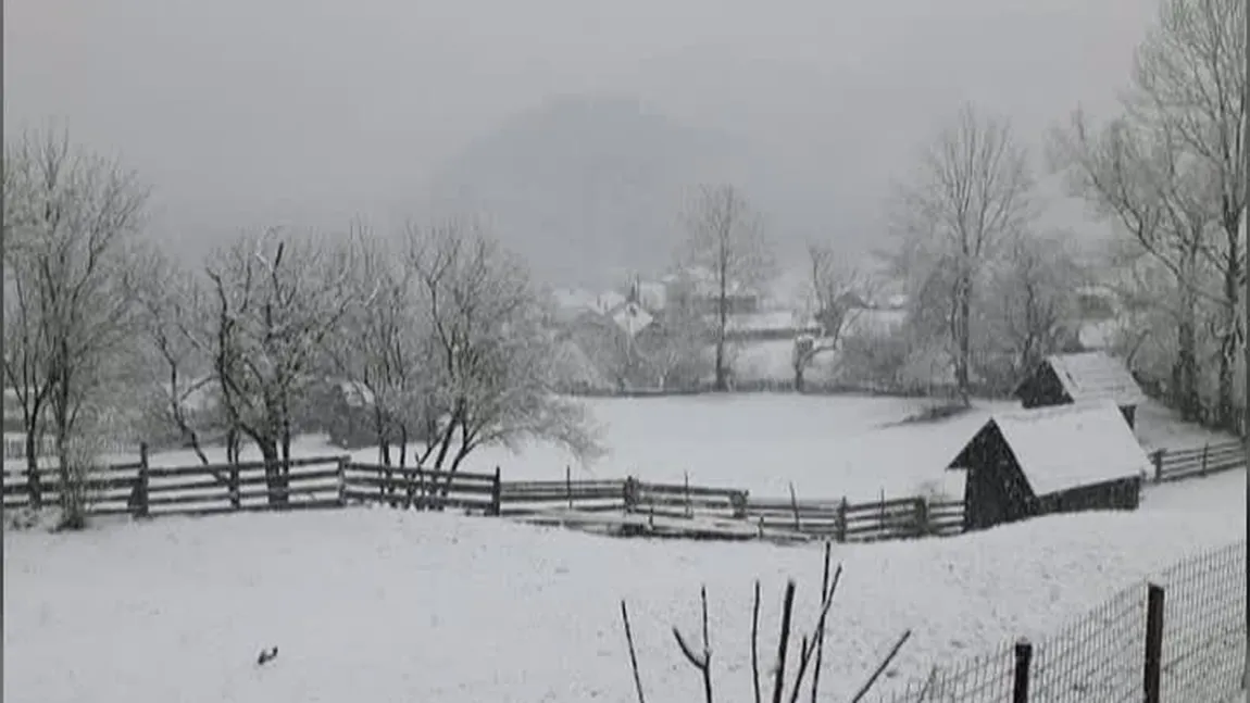 Zăpadă ca-n decembrie în Bucovina. Imagini inedite surprinse în mijlocul primăverii VIDEO