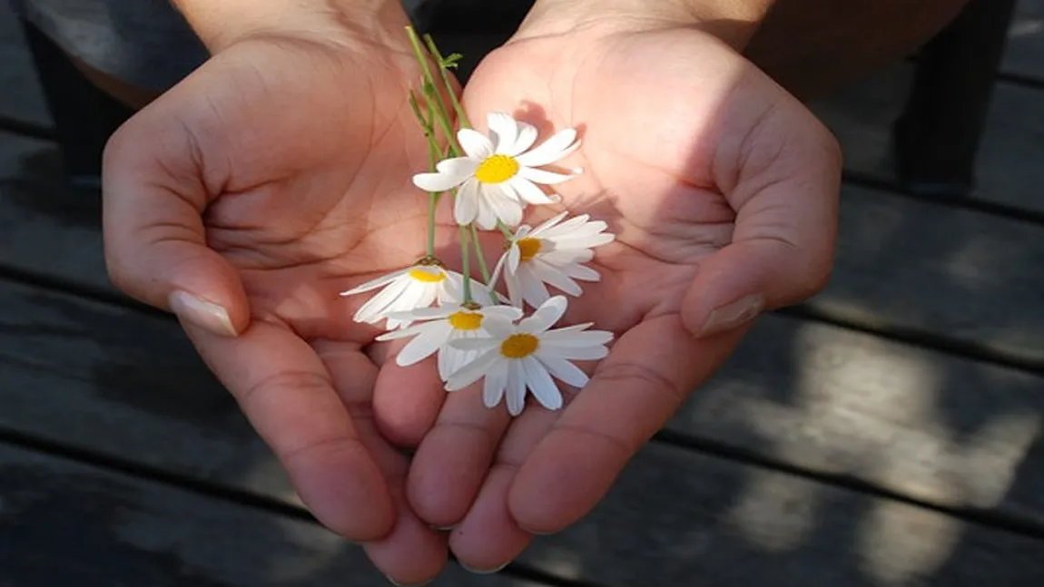 Cele mai potrivite flori pe care le poţi oferi de Florii în funcţie de ziua de naştere