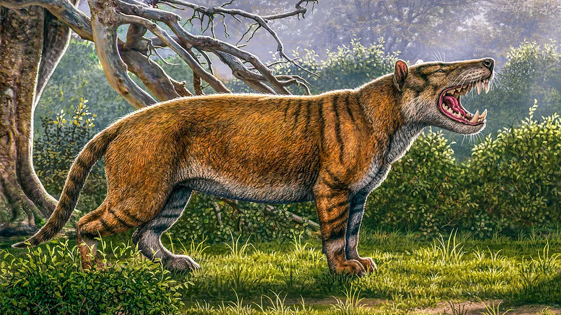 Cel mai mare mamifer terestru a fost descoperit în Kenya. Era de şapte ori mai mare decât leul actual şi cântărea 1.500 kg