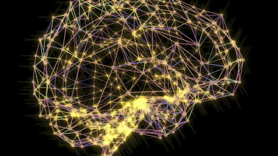 O nouă tehnică de cartografiere la mare rezoluţie a creierului: se poate vedea interiorul neuronilor cu funcţiile lor unice