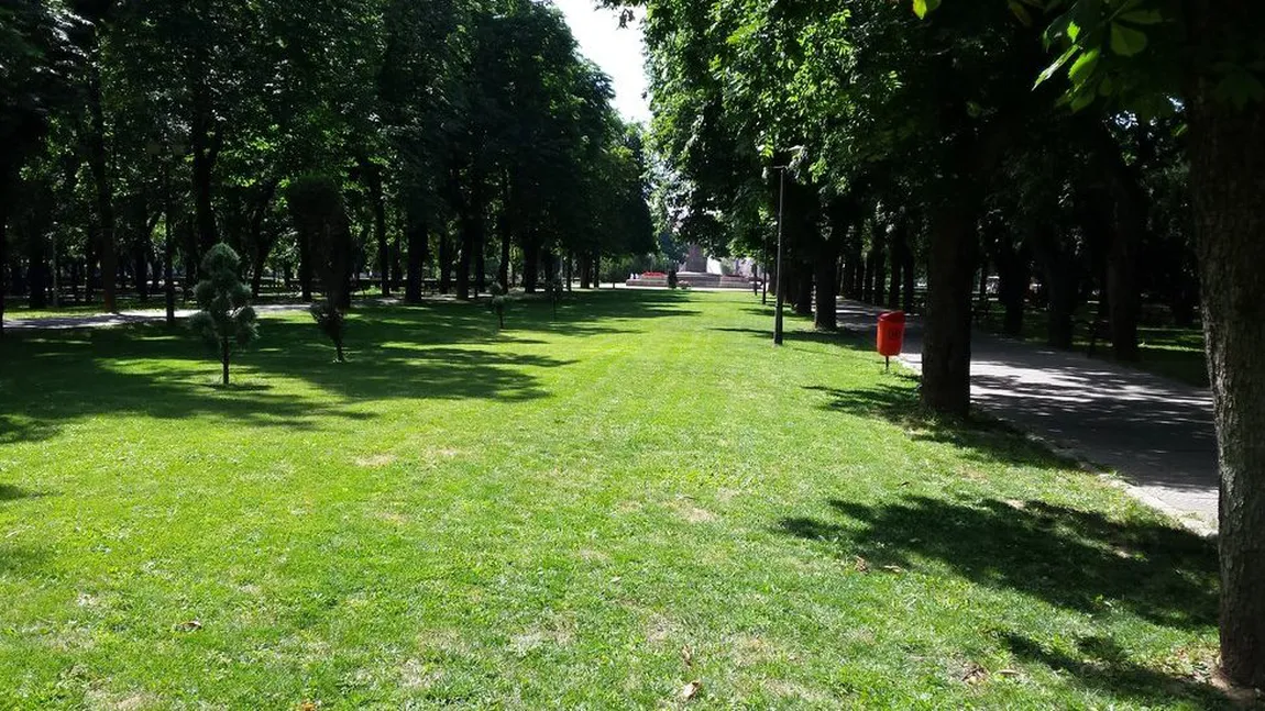 Încep tratamentele pentru combaterea căpuşelor în spaţiile verzi
