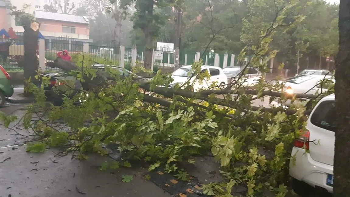 Vijelia din Bucureşti a făcut victime şi pagube. Doi oameni au fost răniţi de copacii căzuţi, o maşină a fost strivită de un stâlp FOTO