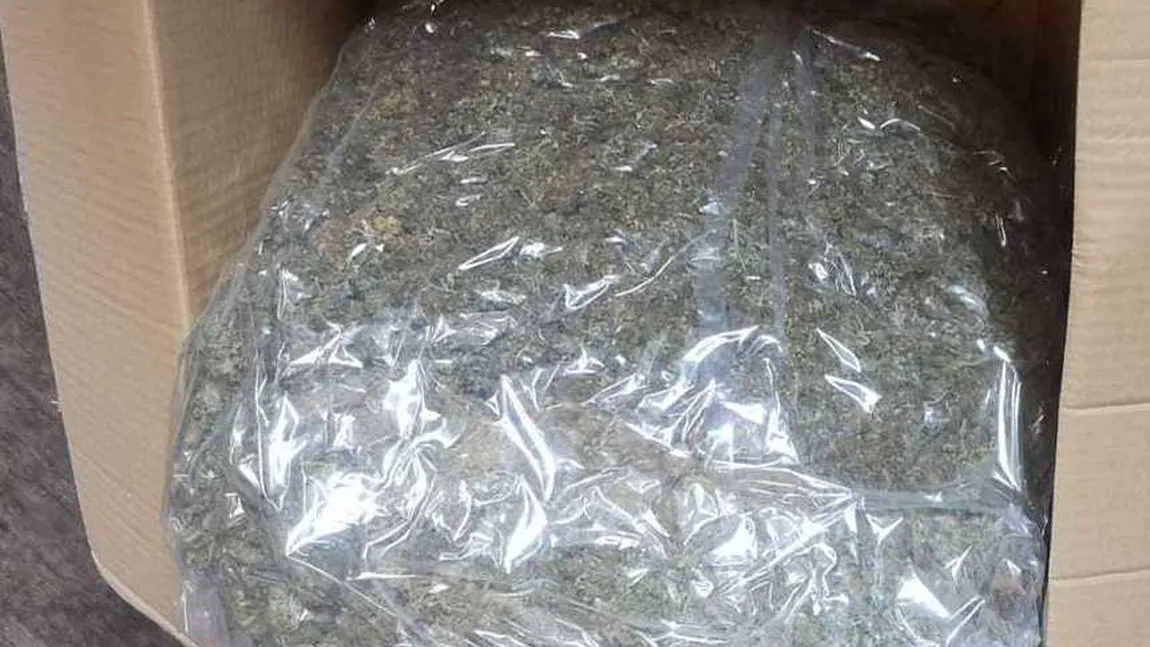 Doi bărbaţi, cercetaţi pentru trafic de droguri după ce au fost prinşi în flagrant cu aproape 3 kilograme de cannabis