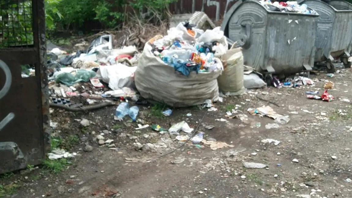 Primăria Timişoara, amendată cu 15.000 de lei de Garda de Mediu pentru mizeria de pe străzi