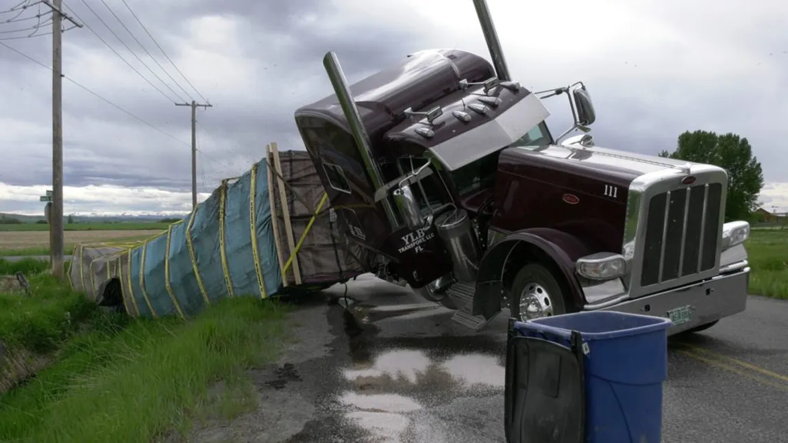 Un camion cu 133 de milioane de albine s-a răsturnat pe şosea. Sute de milioane de insecte au roit instantaneu