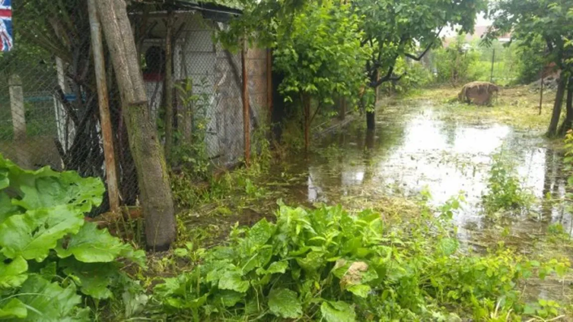 Dezastru în Târgu Jiu. Casele din zona Coloanei Infinitului, pline de apă VIDEO