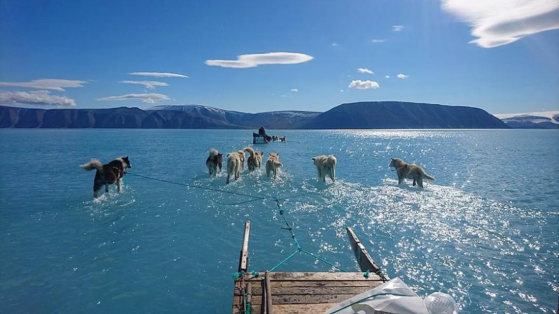 Aproape jumătate din suprafaţa Groenlandei, acoperită de apă într-o zi. Ce consecinţe poate avea asupra mediului