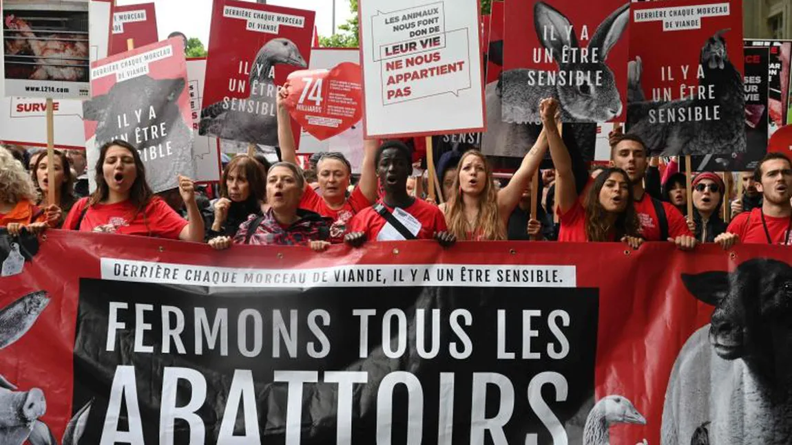 Sute de activişti pentru drepturile animalelor au manifestat la Paris, la 