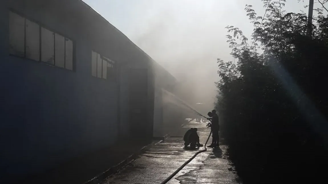 Incendiu la un depozit de materiale industriale, în Dâmboviţa