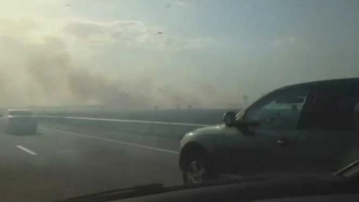 Circulaţie îngreunată pe Autostrada Soarelui din cauza unui incendiu de vegetaţie