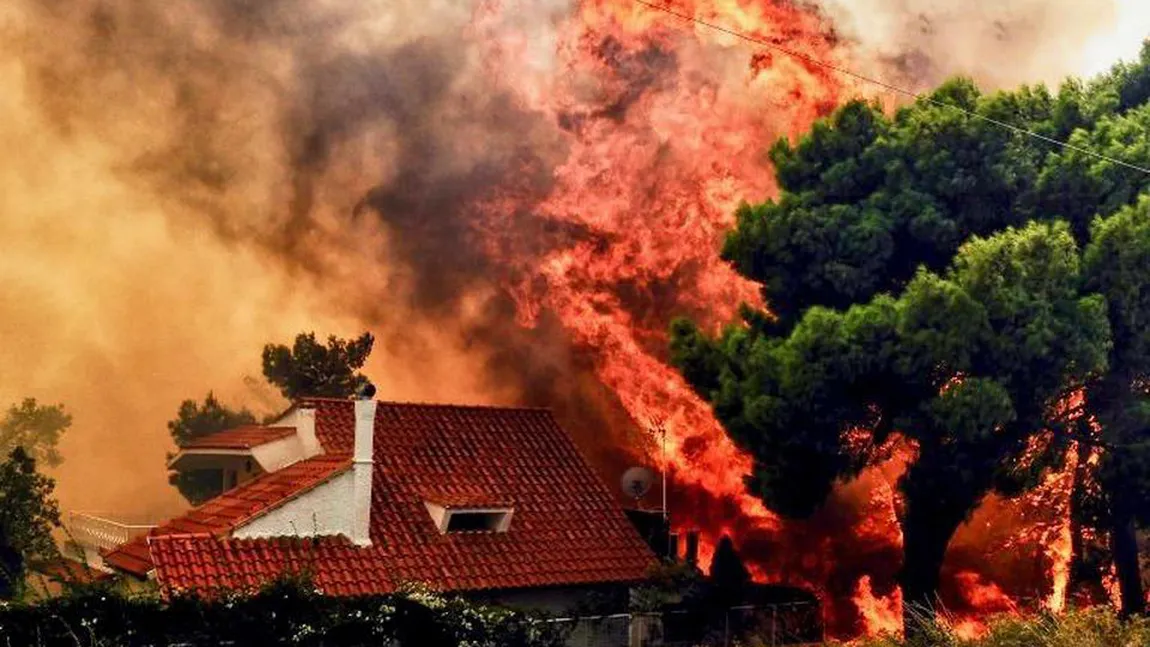 Infern în Grecia: incendiu uriaş la nord de Atena. Mobilizare enormă a pompierilor