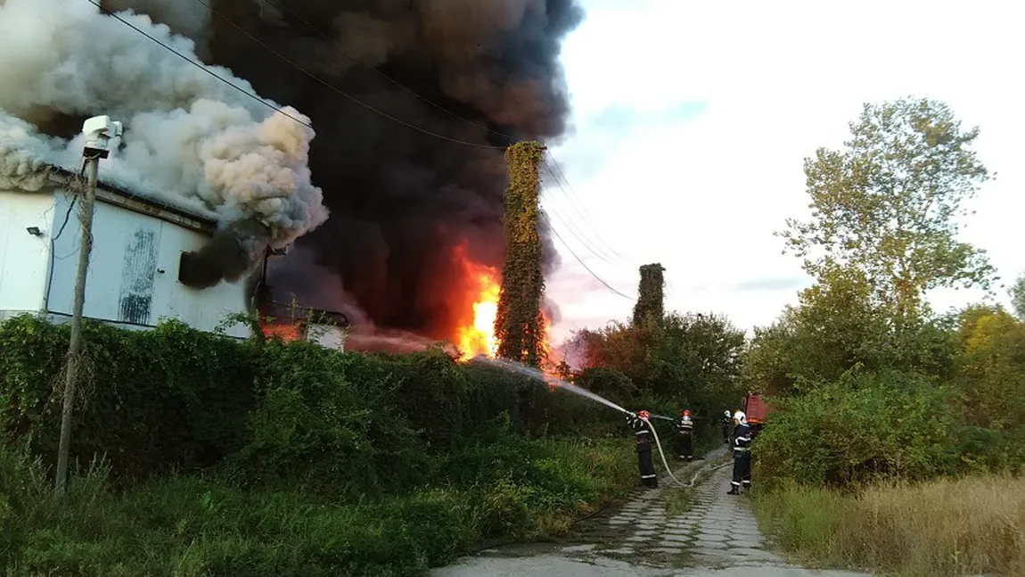 Incendiu PUTERNIC la o hală din Dolj