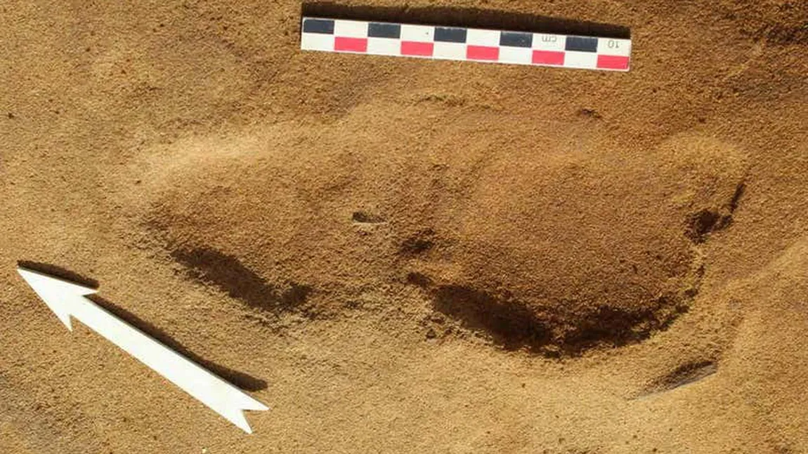 Peste 250 de urme de paşi de neanderthalieni, vechi de 80.000 de ani, descoperite pe o plajă din Normandia