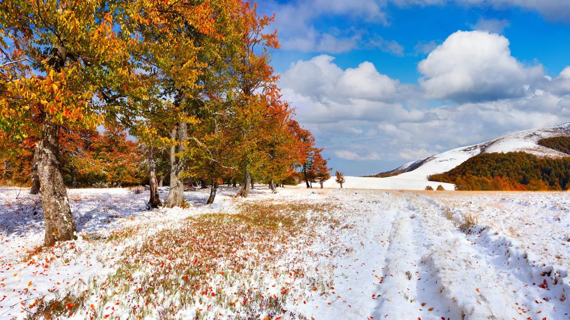 Imagini cu prima ninsoare a toamnei, în România. Unde au căzut primii fulgi VIDEO