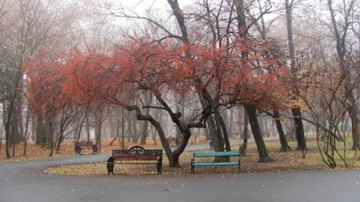 PROGNOZA METEO. Vreme autentică de toamnă în toată ţara. Lapoviţă şi ninsoare la munte