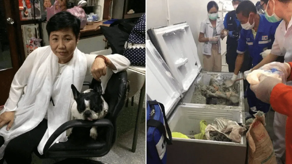 Descoperire macabră. Cadavrul a fost găsit ascuns în frigider, învelit în pungi de plastic