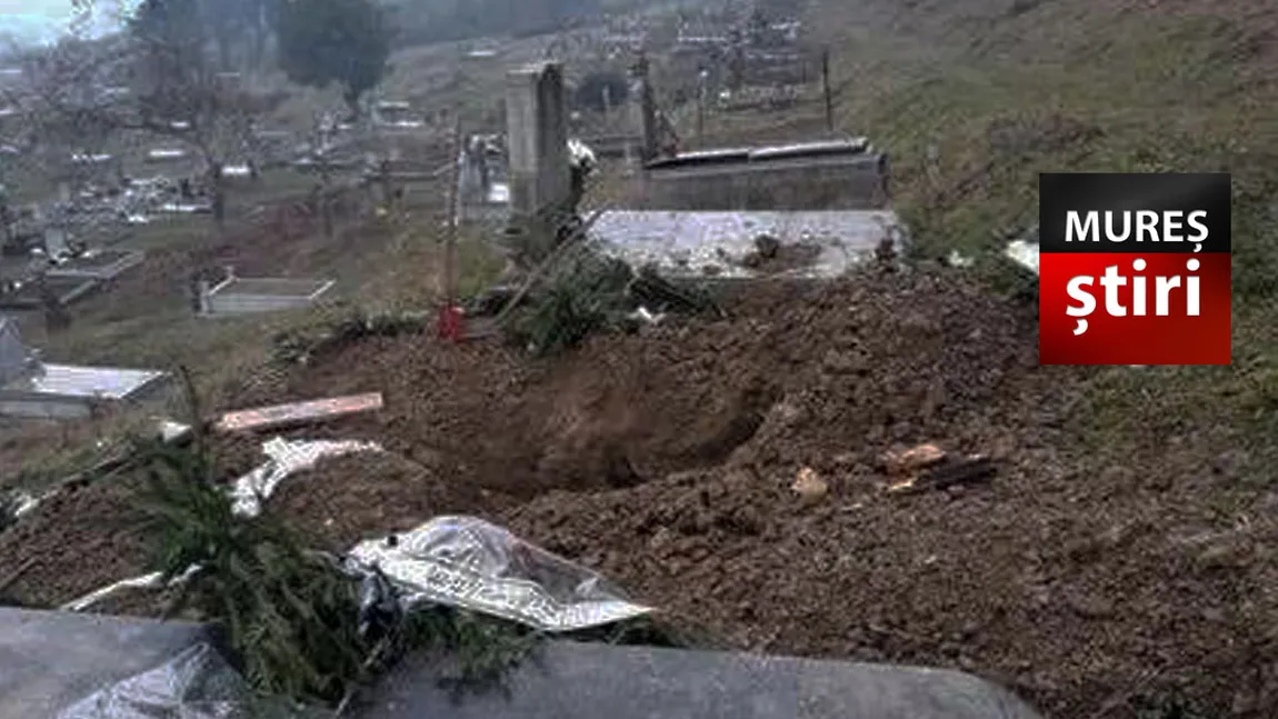 Cadavru dezgropat de urs într-un cimitir. Avertizare Ro Alert în Bistriţa după ce 3 urşi au fost văzuţi în oraş
