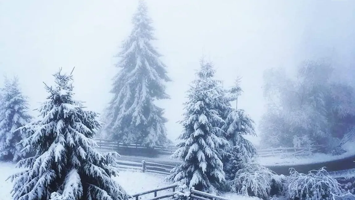 Ninge ca-n poveşti în România. Au început să se arate primele semne ale iernii VIDEO