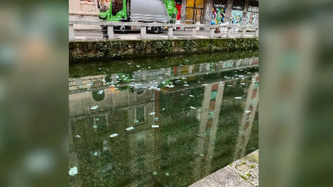 ULUITOR! De unde au apărut miile de bancnote de 100 de euro care au invadat un râu din Milano