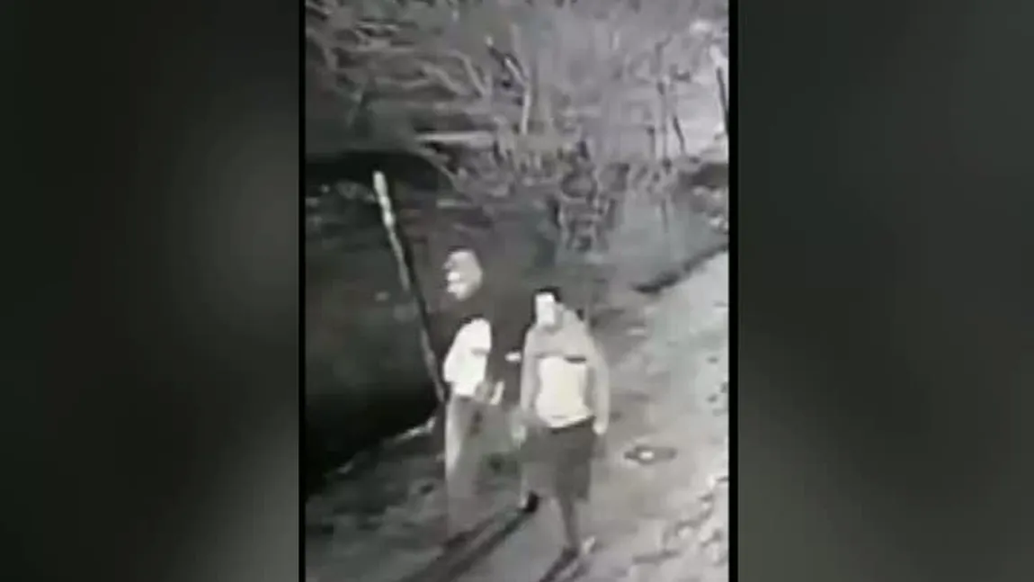 Cârnaţi furaţi dintr-o gospodărie de Crăciun. Primele imagini cu hoţii căutaţi de Poliţie