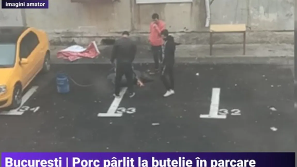 Porc pârlit la butelie într-o parcare din Bucureşti, de Ignat