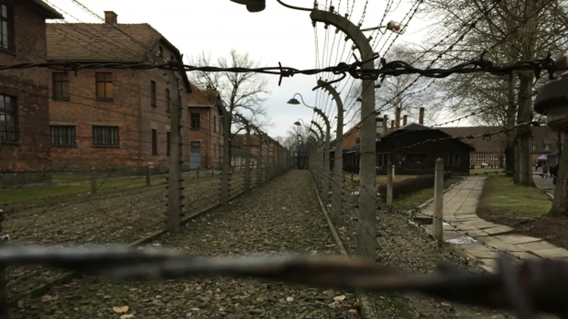 Anul acesta Crăciunul vine de la Auschwitz. Vezi cum vor arăta decoraţiunile de sărbători GALERIE FOTO UPDATE