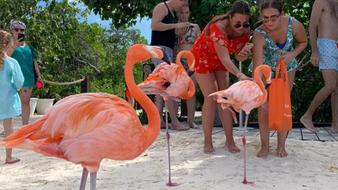 Dan Barna, vacanţă de lux în Aruba. Cine l-a însoţit pe politician pe insula din Caraibe FOTO