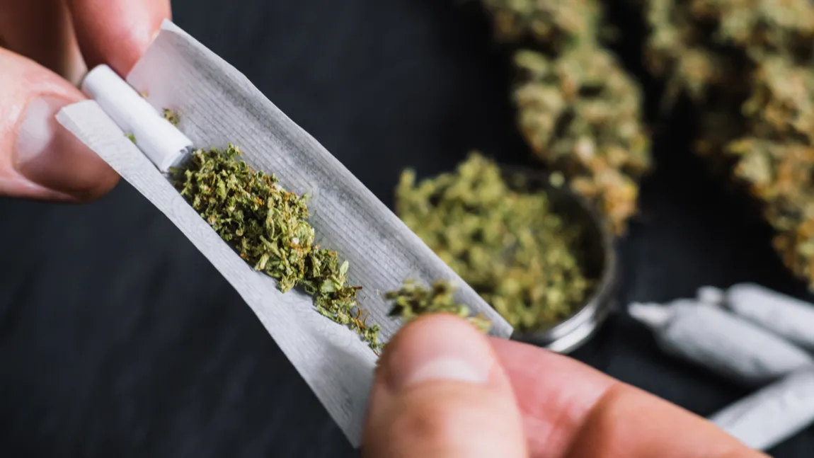 Agenţia Naţională Antidrog: Canabisul rămâne în continuare cel mai consumat drog din România